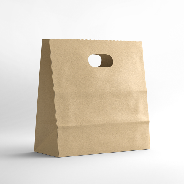 Paper Bags (Bagasse)